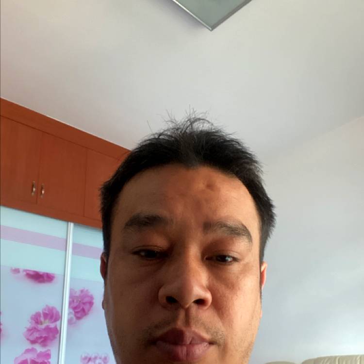 迷路向芝麻的照片