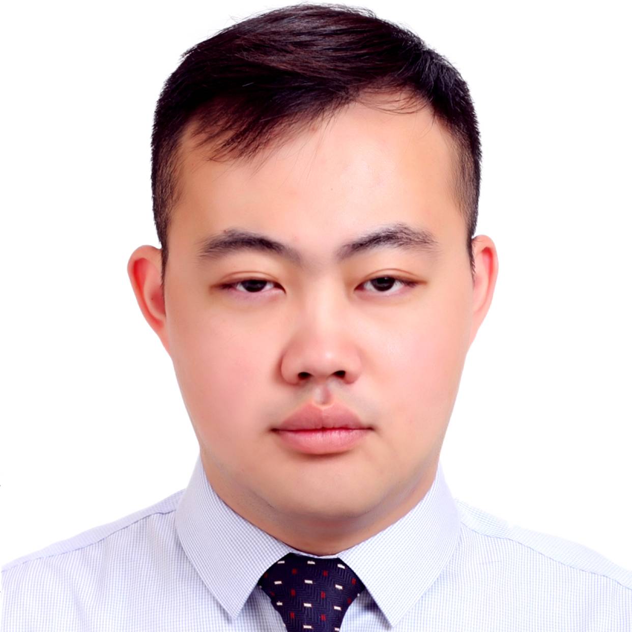 坚定相许长颈鹿的照片