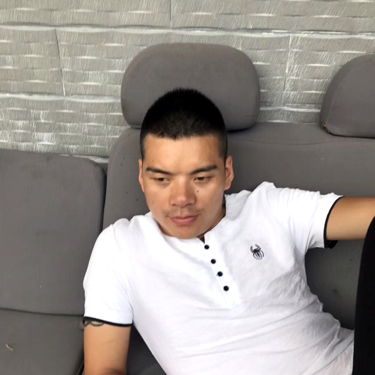 生动挽手大船的照片