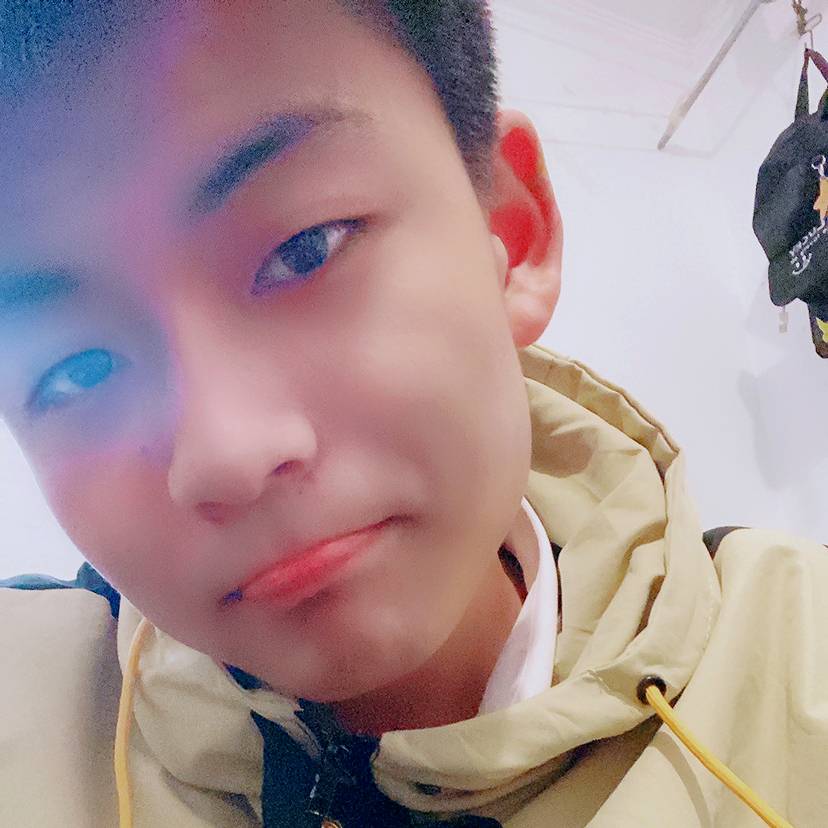 小天鹅扯成就的照片