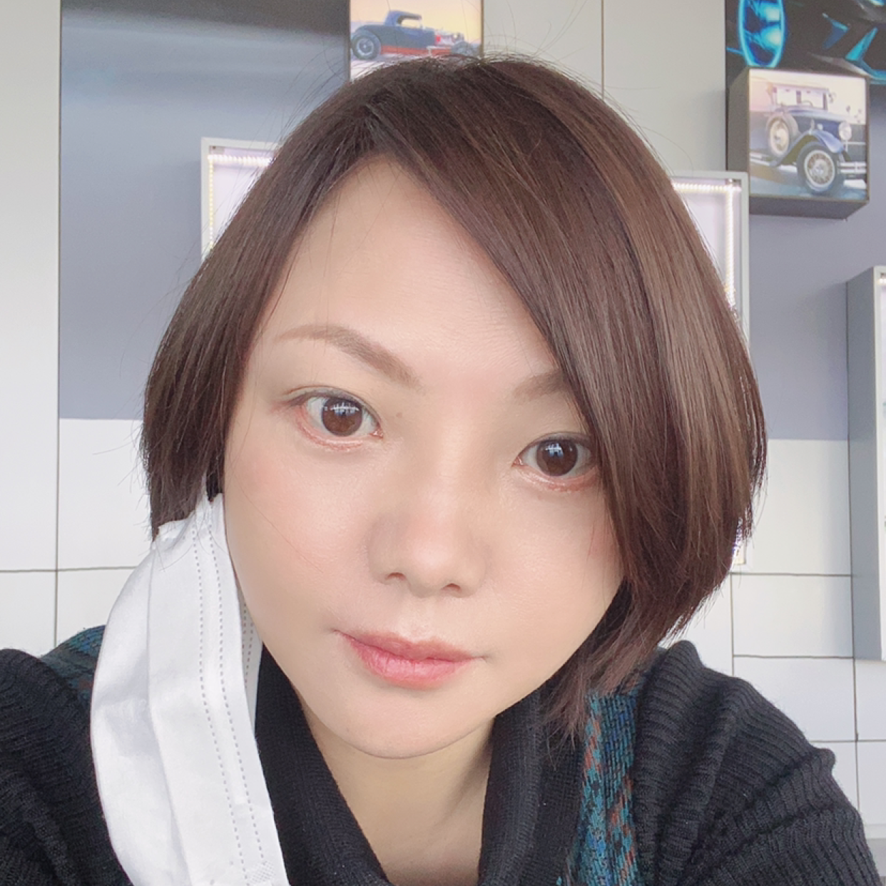 浅唱凝眸刺猬的照片