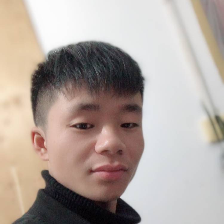 黑马!的照片