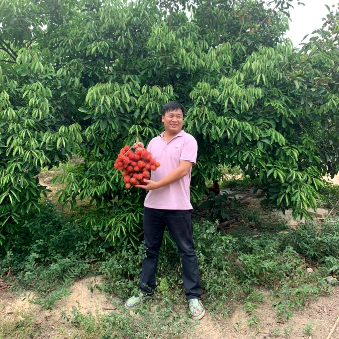 AUY龙行天下的照片