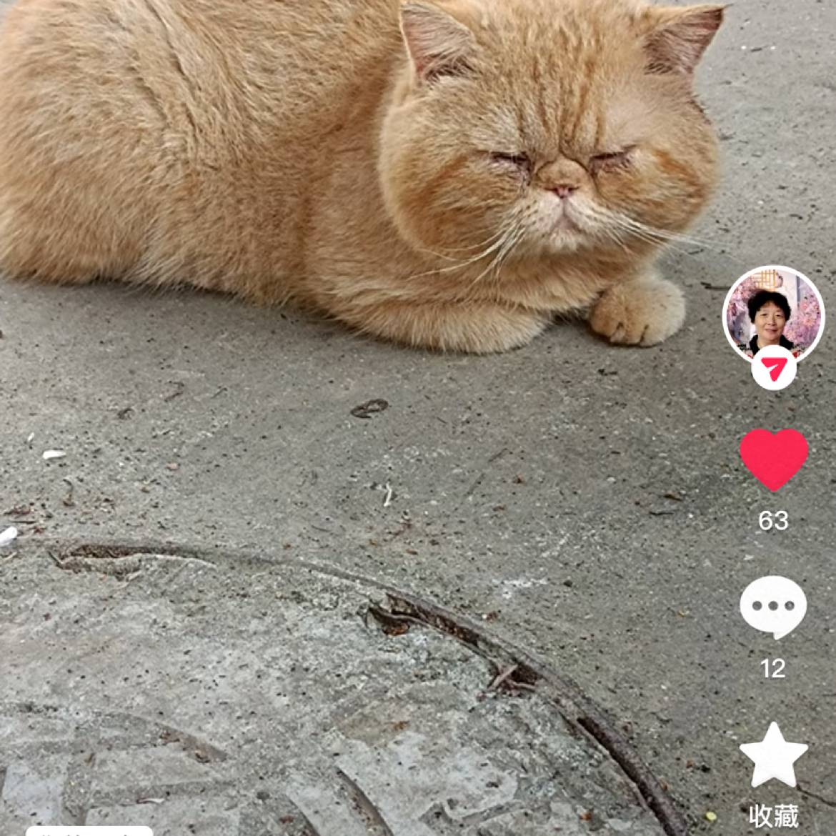 向往de爱恋的照片