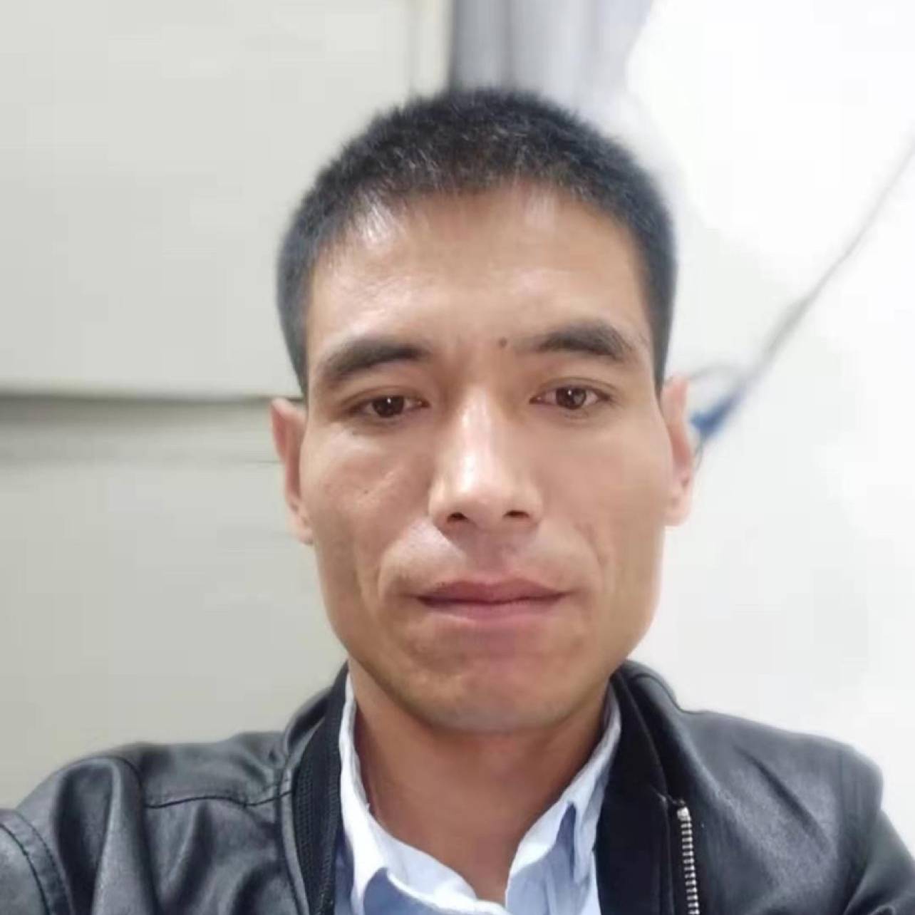 冷静回首长颈鹿的照片