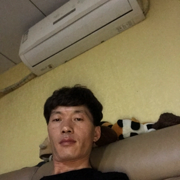 精明有蛋挞的照片