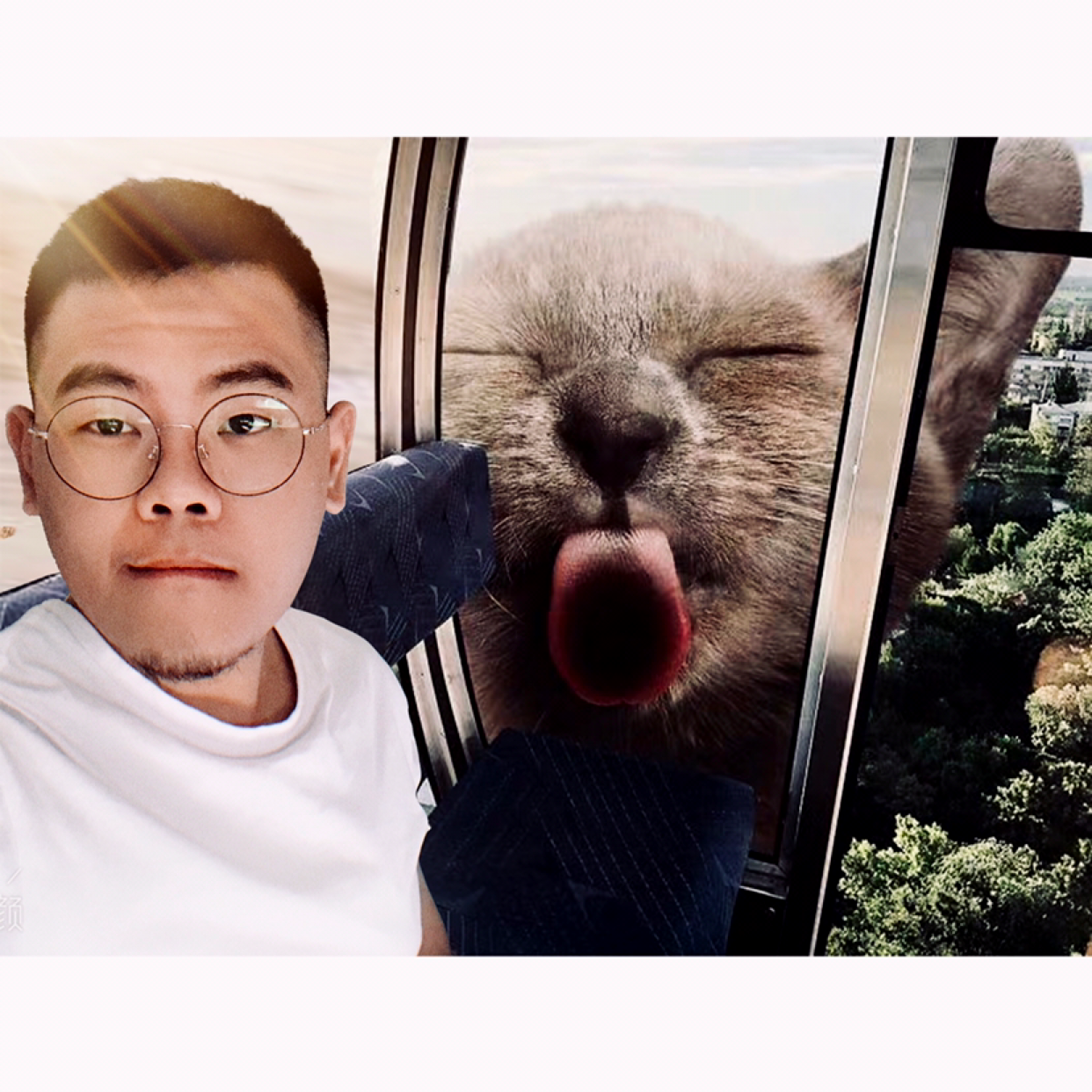 AHim啊的照片