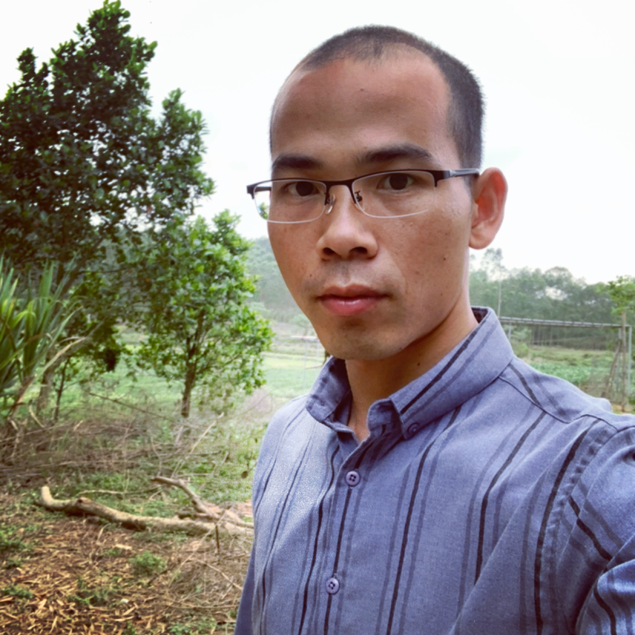 纸鹤典雅的照片