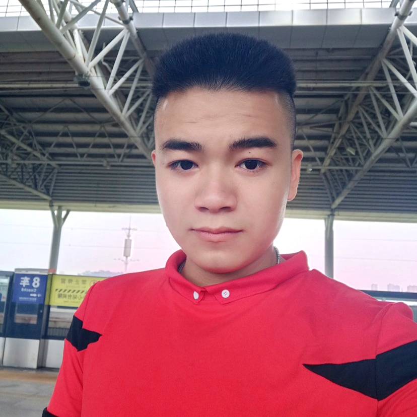 魁梧漫步森槿的照片