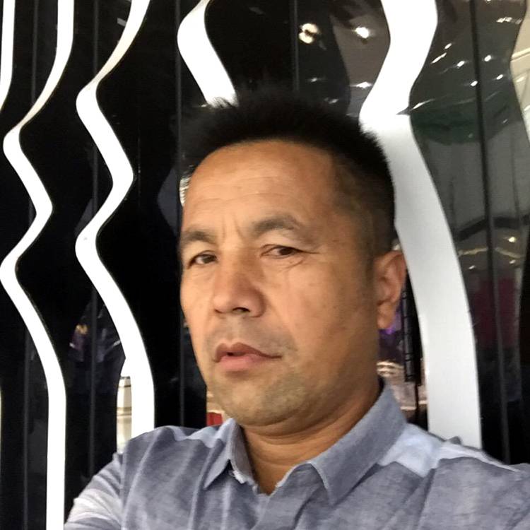 搞怪多么小鸽子的照片