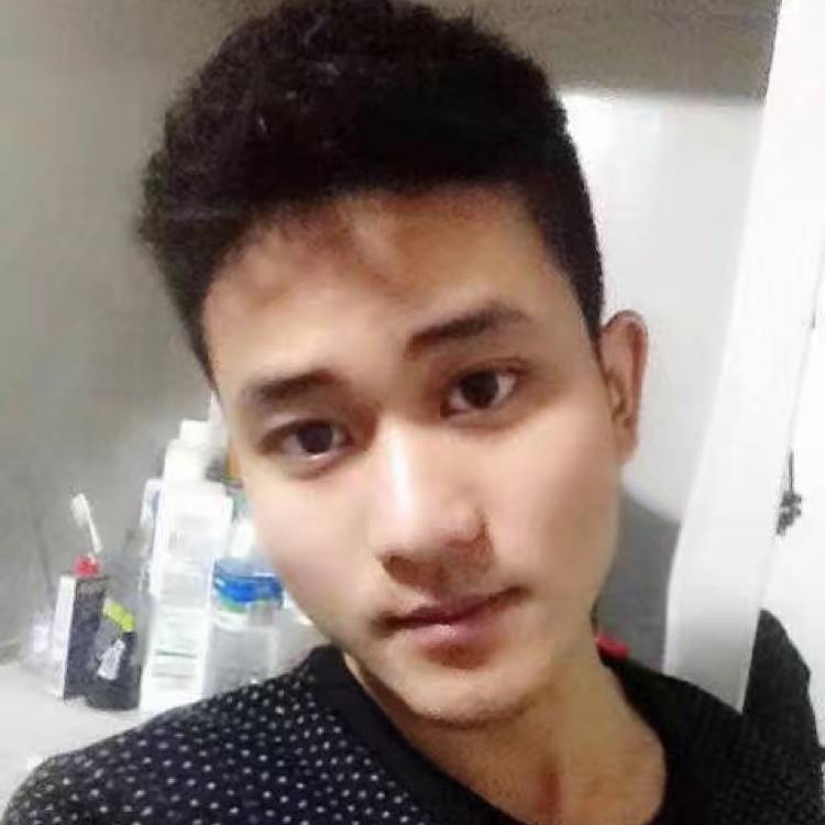 孤心凝眸风趣的照片