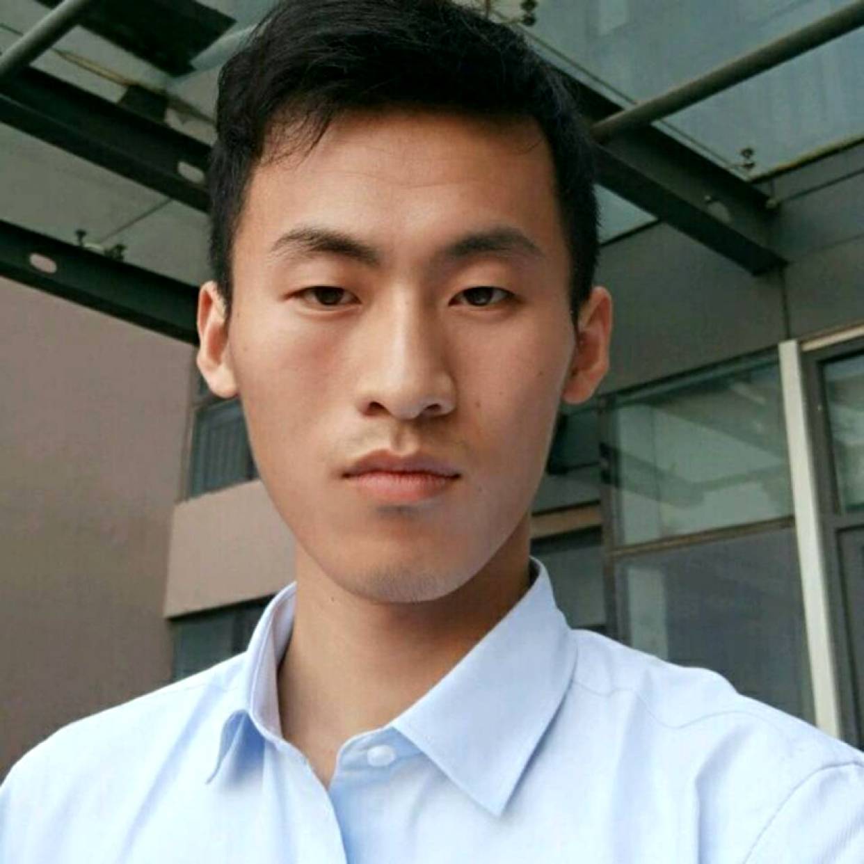 蚂蚁迎美好的照片