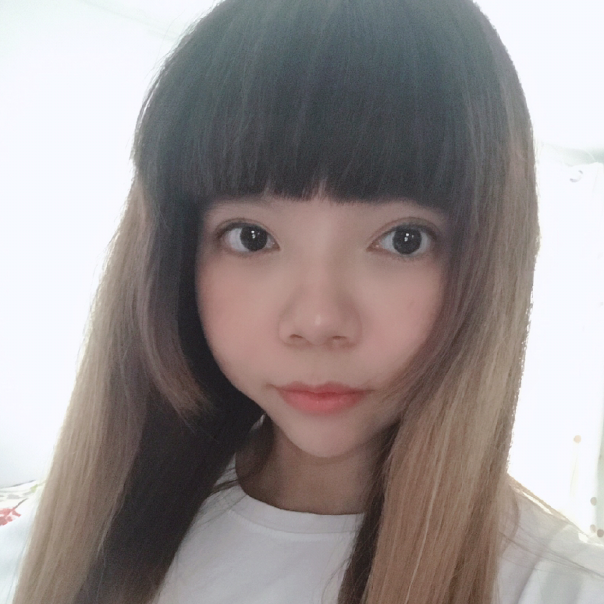 的照片