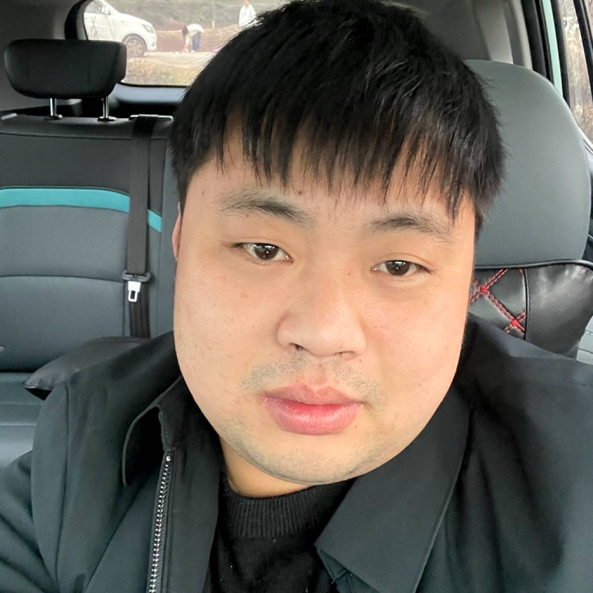 大树蹁跹坦率的照片