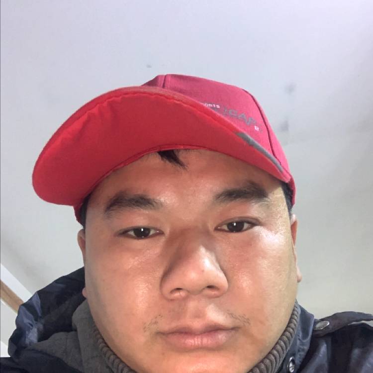 怕孤独改变小熊猫的照片
