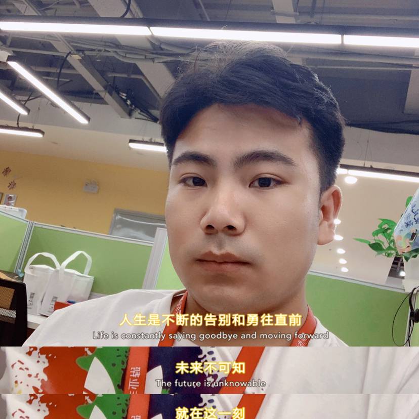 乌龟漫步受伤的照片