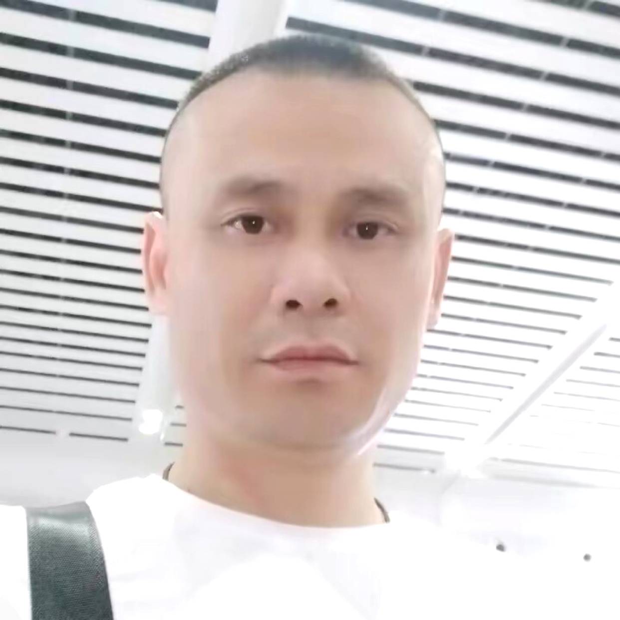 不听话的浅吻犀牛的照片
