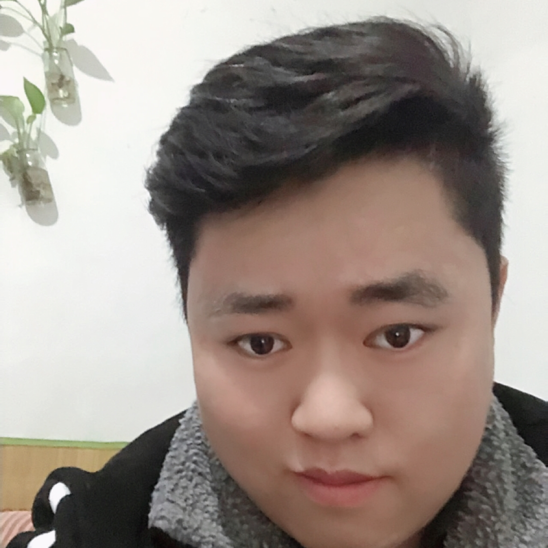 懦弱给摩托的照片