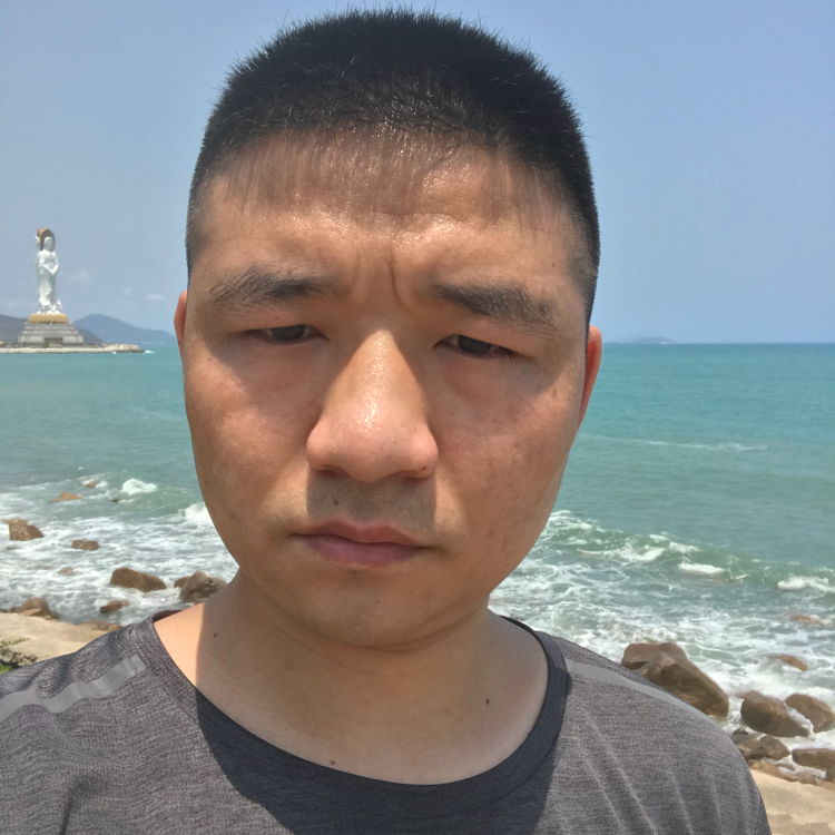 内向阳光的照片