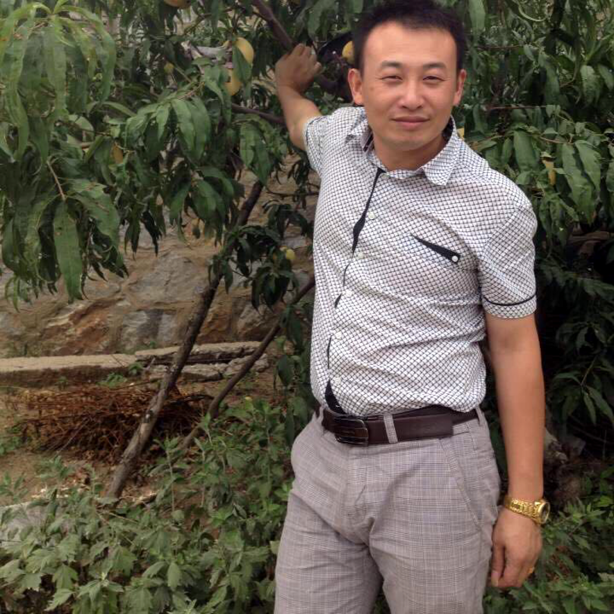 故意相许红玫瑰的照片