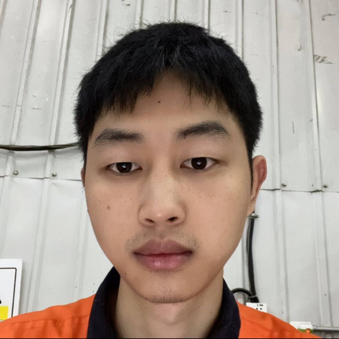 weiran的照片