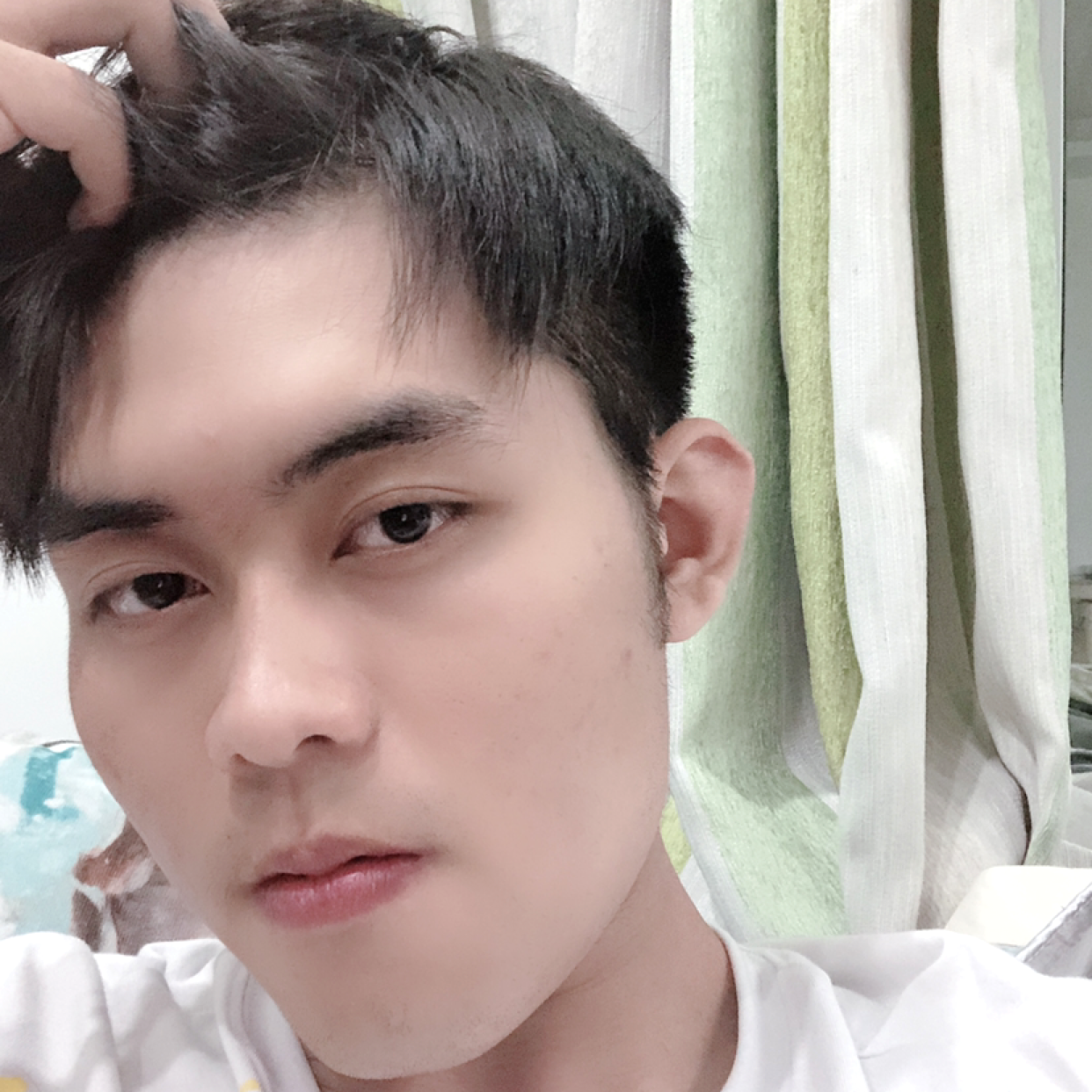无私爱恋树叶的照片