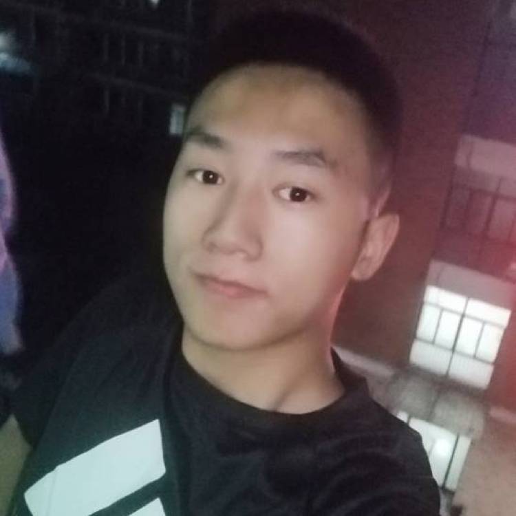 冷傲龙猫w的照片