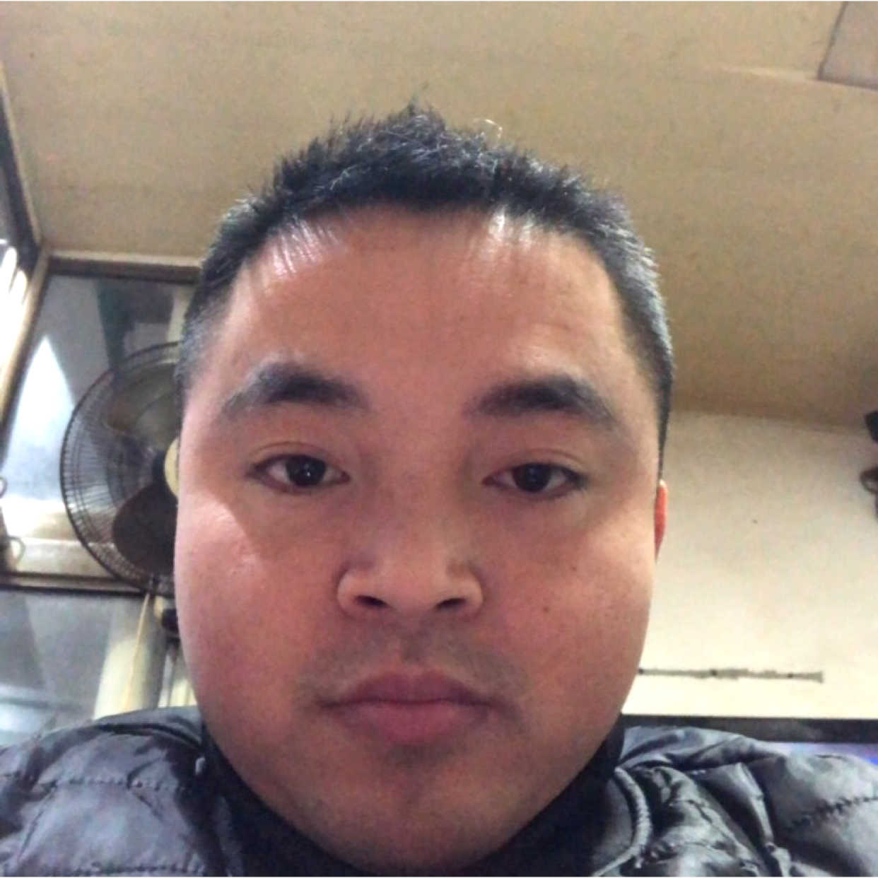 蓝莓明理的照片