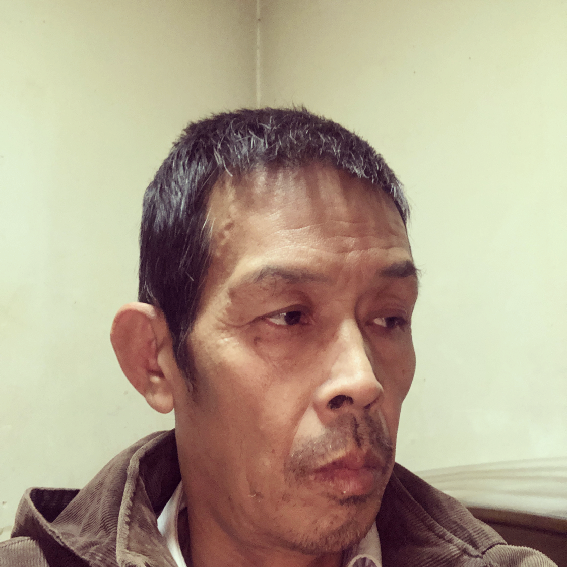 尊敬向舒荷的照片