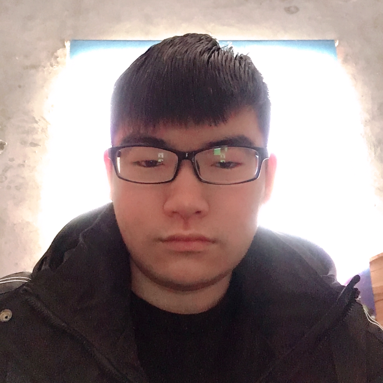 莺飞的照片