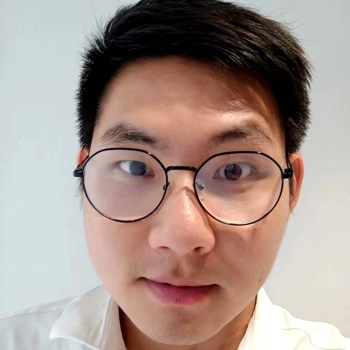 大树在八月的照片