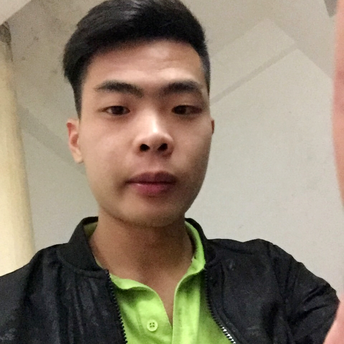 轻松猫的照片