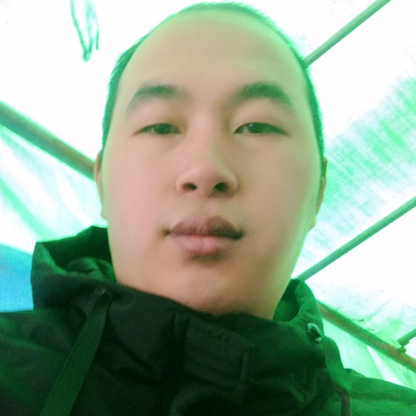 聪慧小海豚的照片