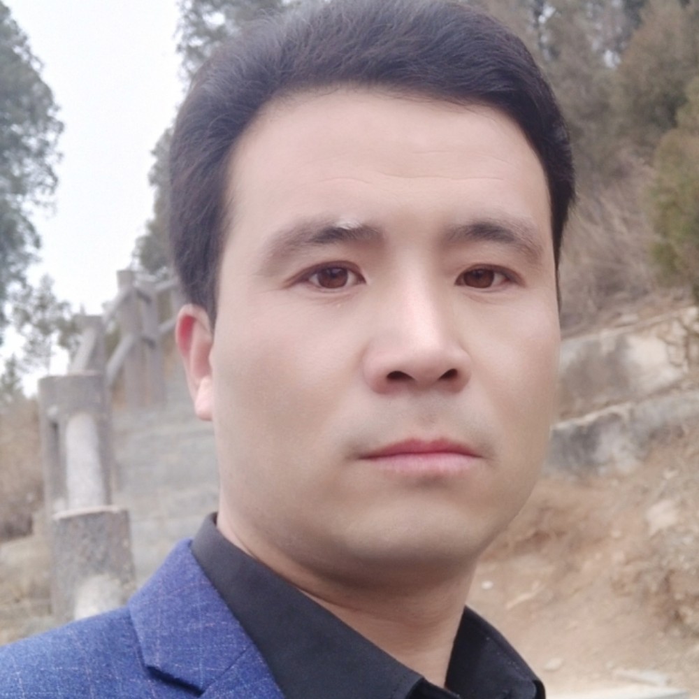 诺言的零碎的照片