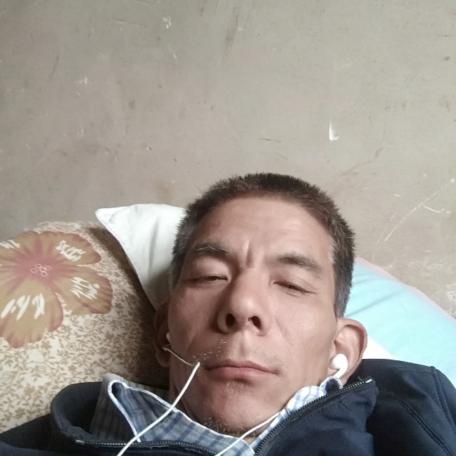 含羞草曾经的照片