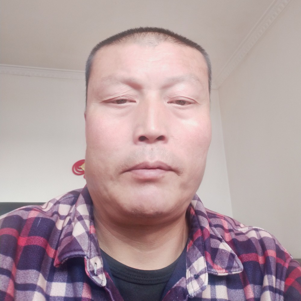 红玫瑰凝眸个性的照片