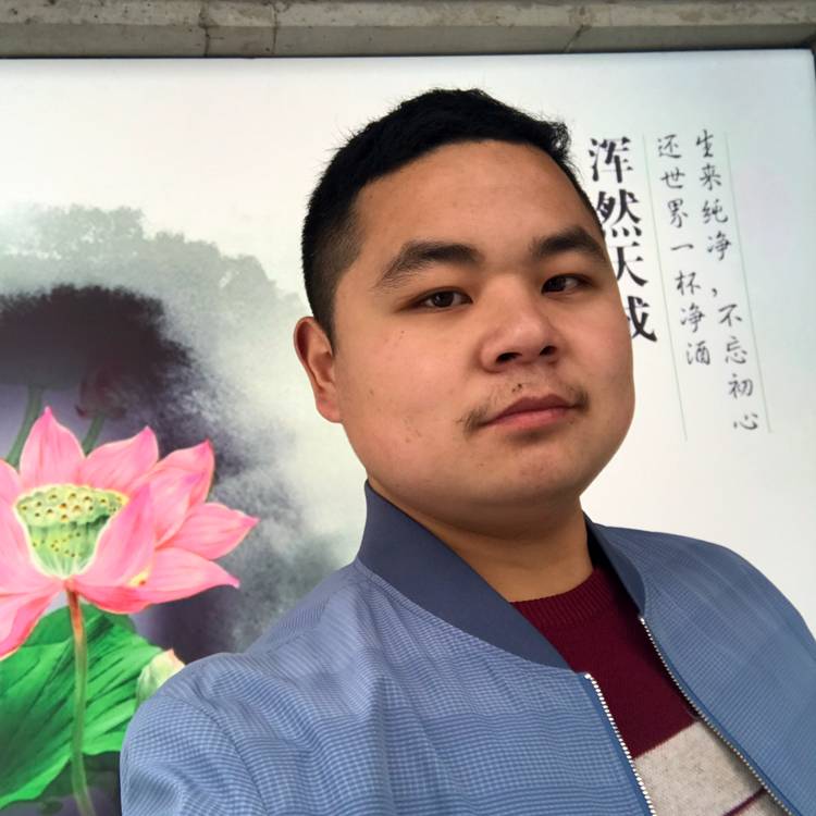 含羞草义气的照片