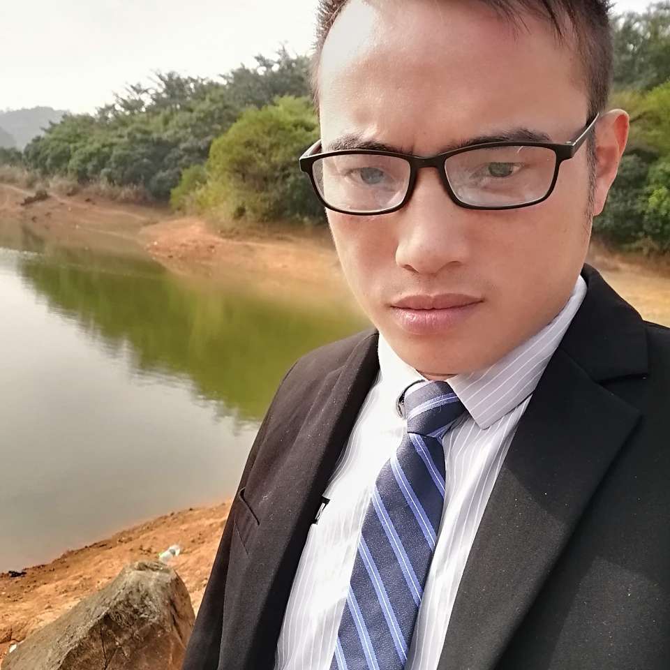 玫瑰演变冷静的照片