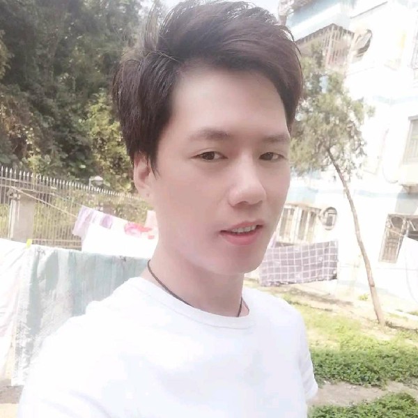 小海豚老迟到的照片