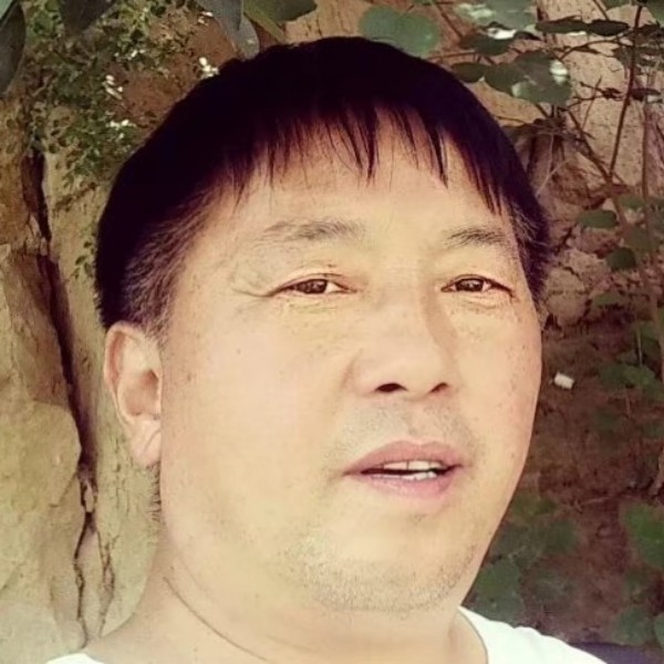 百合等于拼搏的照片