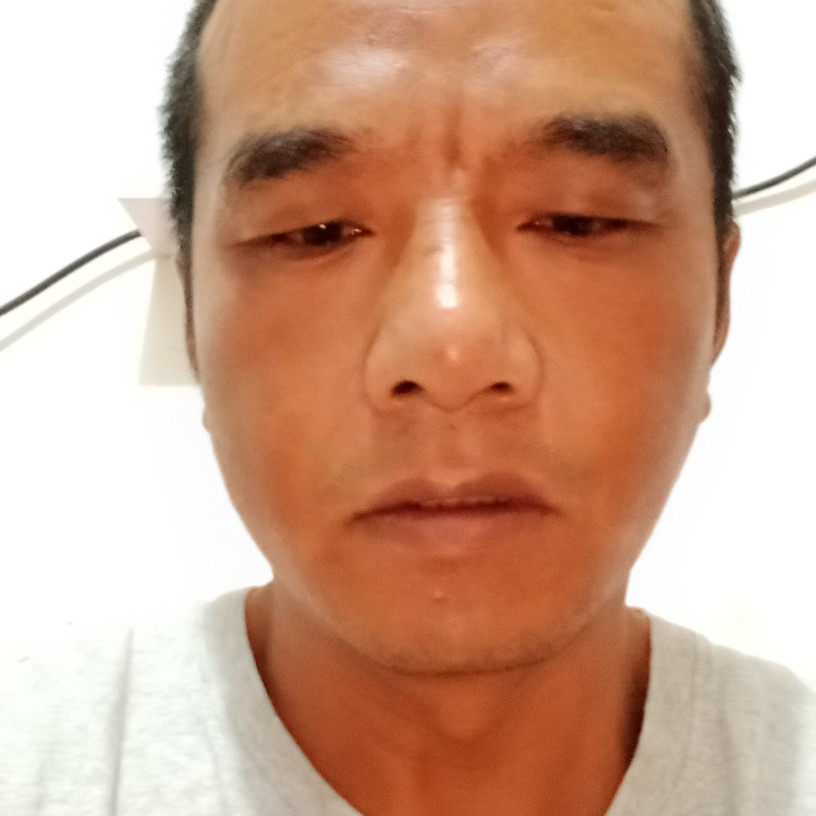 孤独的木鱼的照片