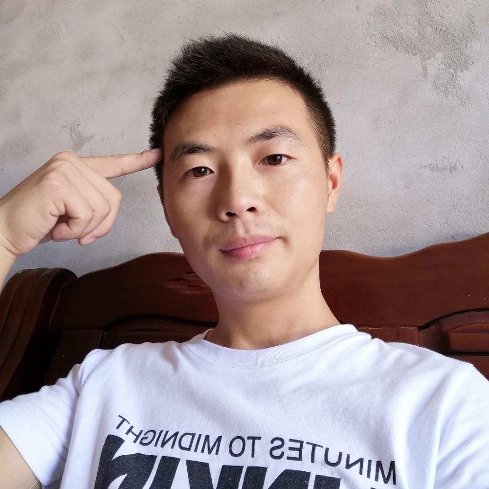 沙尘豹的照片