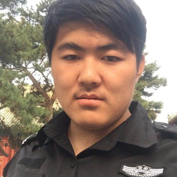 狂野黑白猫的照片