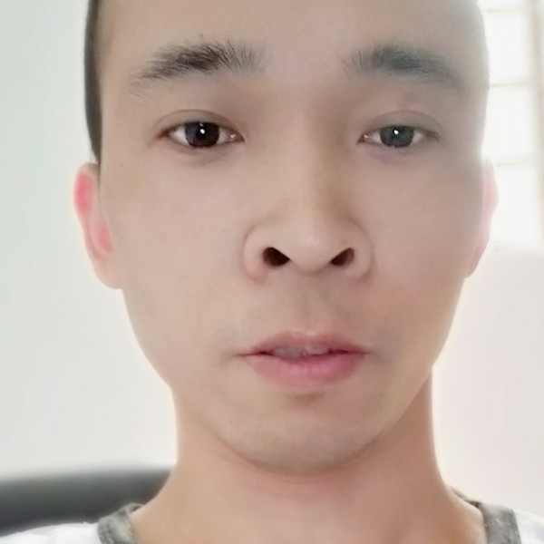枫叶轻松的照片