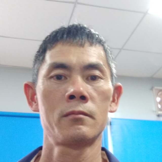 绿茶沉默的照片