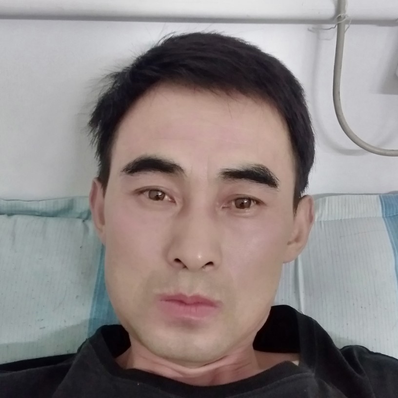 海燕高挑的照片