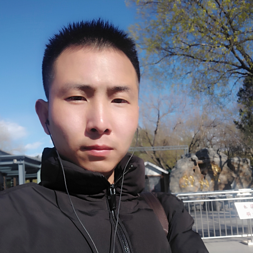 小蜜蜂现代的照片