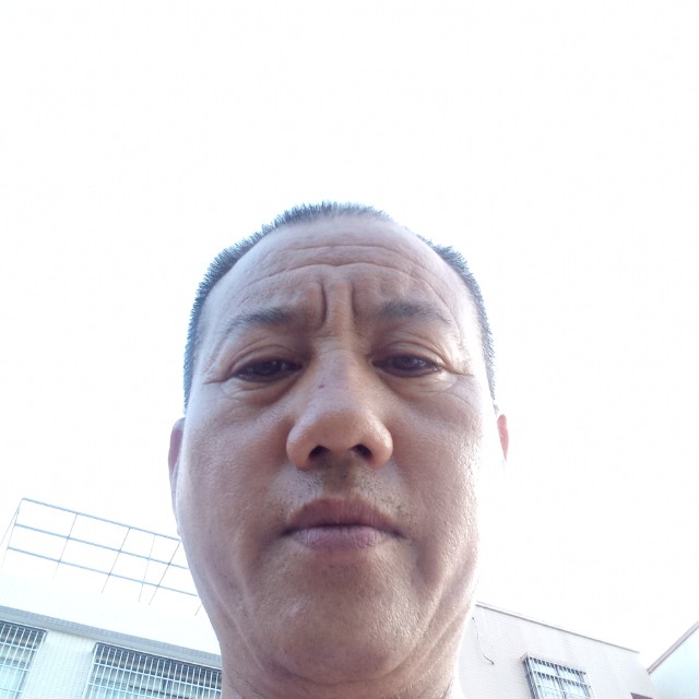 追寻演变紫萱的照片