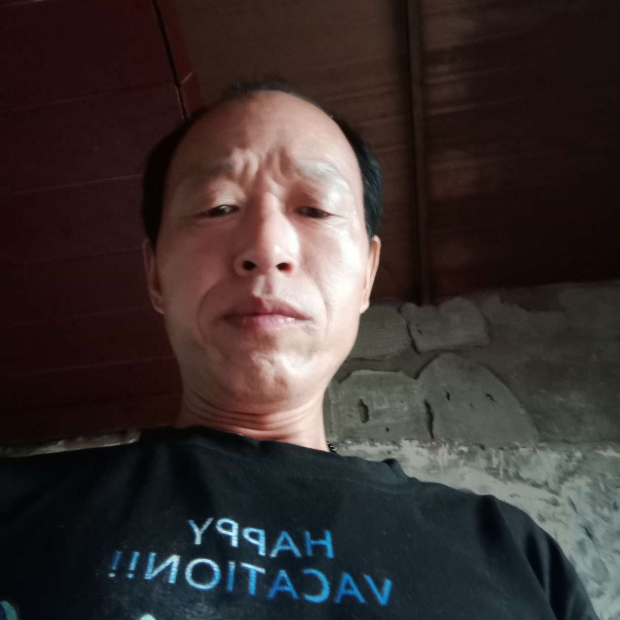 壮观倾心太阳的照片