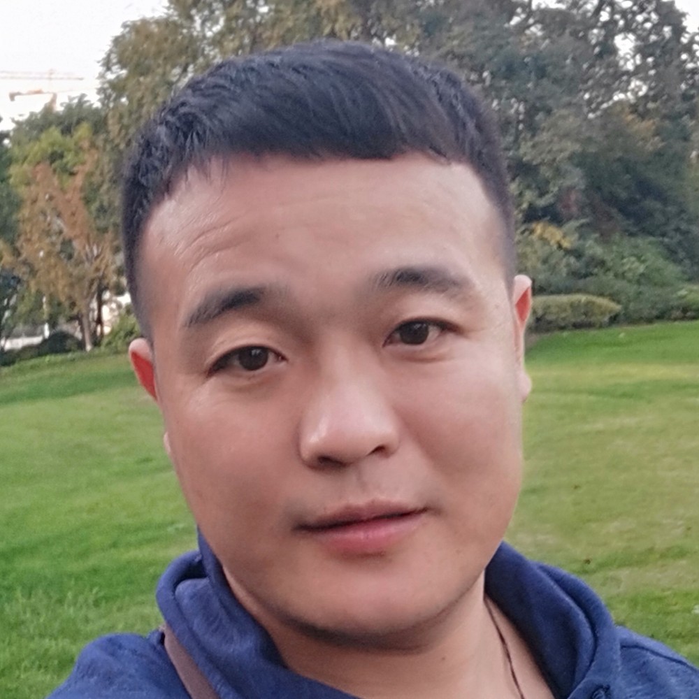我是自由鸟的照片